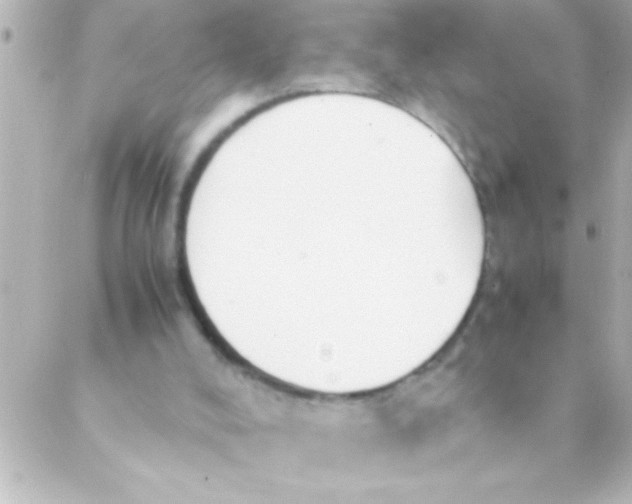 X0000088640008200706151954