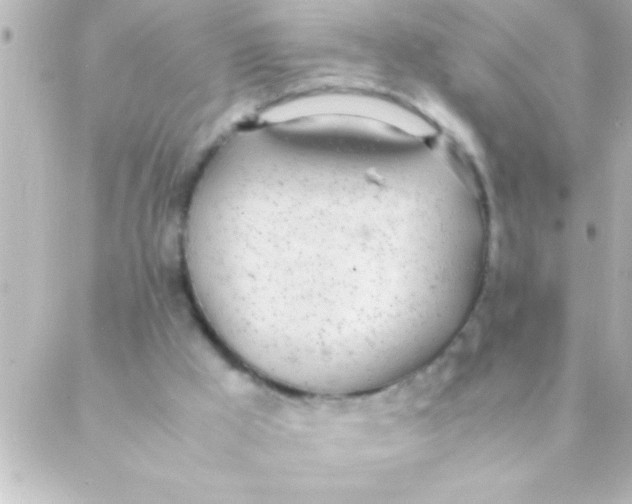 X0000088640009200706151954