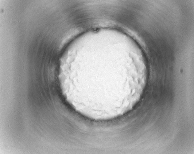 X0000088640010200706151954