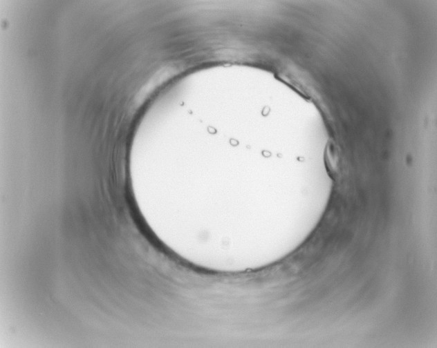 X0000088640011200706151954