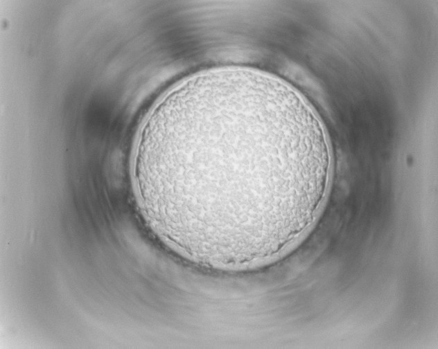 X0000088640012200706151954