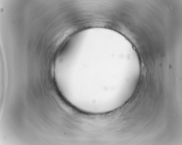 X0000088640013200706151954