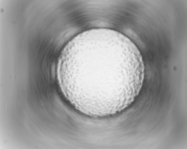 X0000088640014200706151954