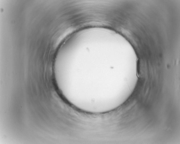 X0000088640015200706151954