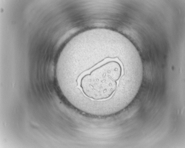 X0000088640016200706151954