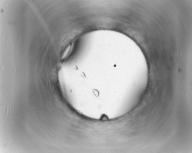 X0000088640017200706151954