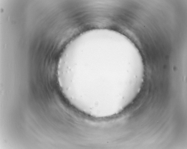 X0000088640018200706151954