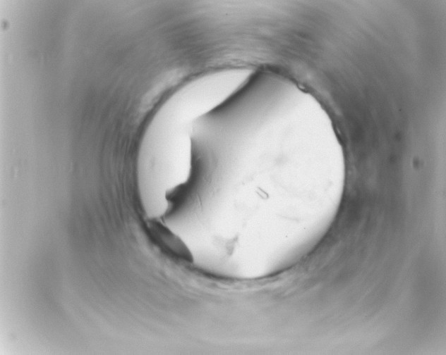 X0000088640019200706151954