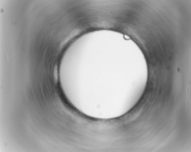 X0000088640020200706151954