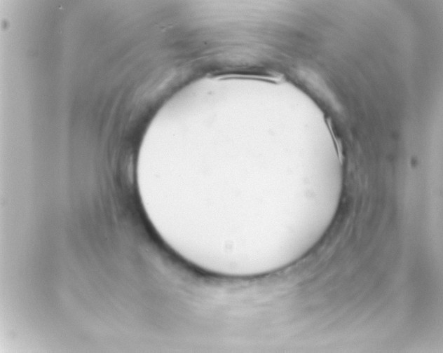 X0000088640021200706151954