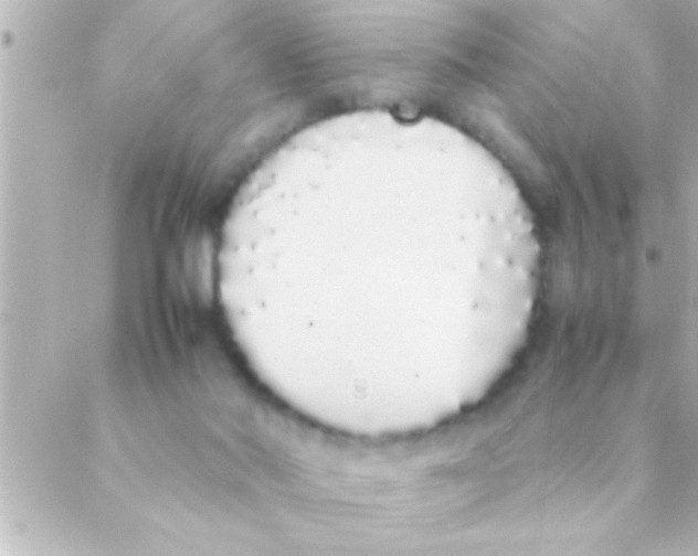 X0000088640022200706151954