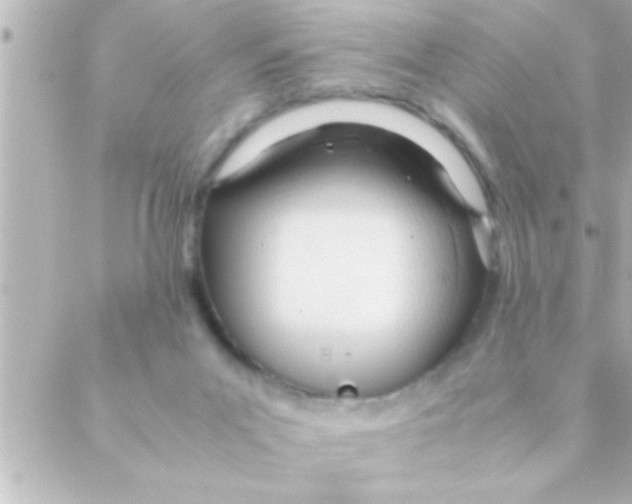 X0000088640023200706151954