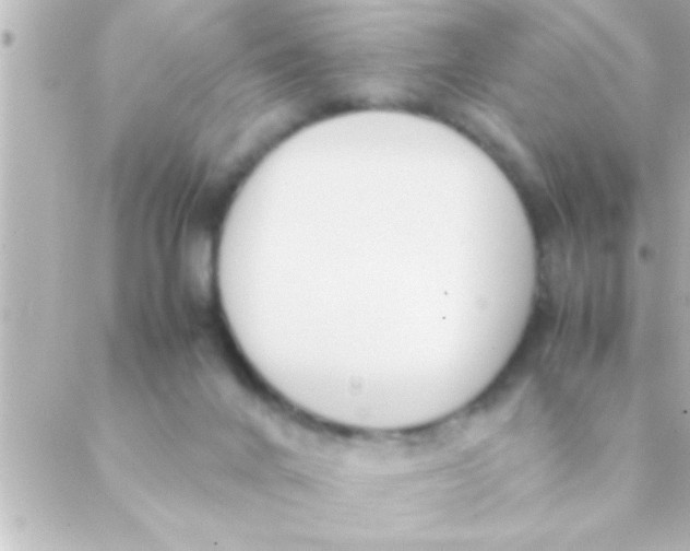 X0000088640024200706151954