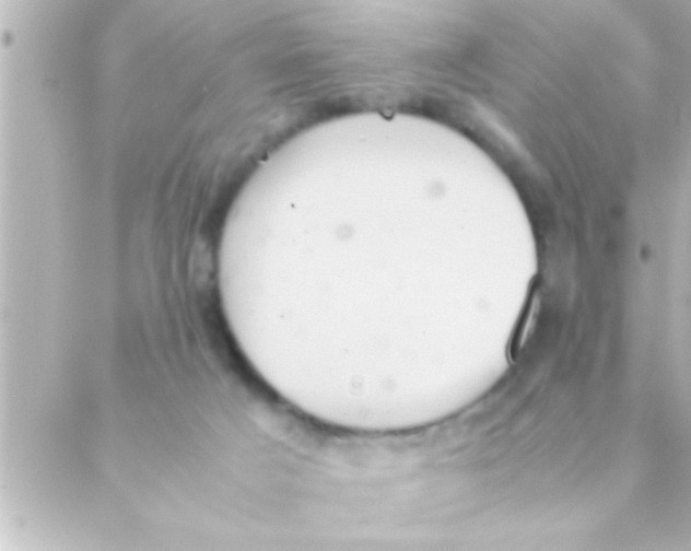 X0000088640025200706151954