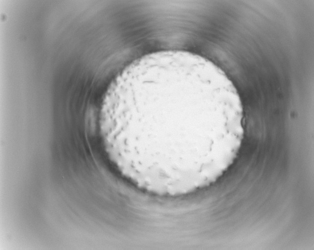 X0000088640026200706151954