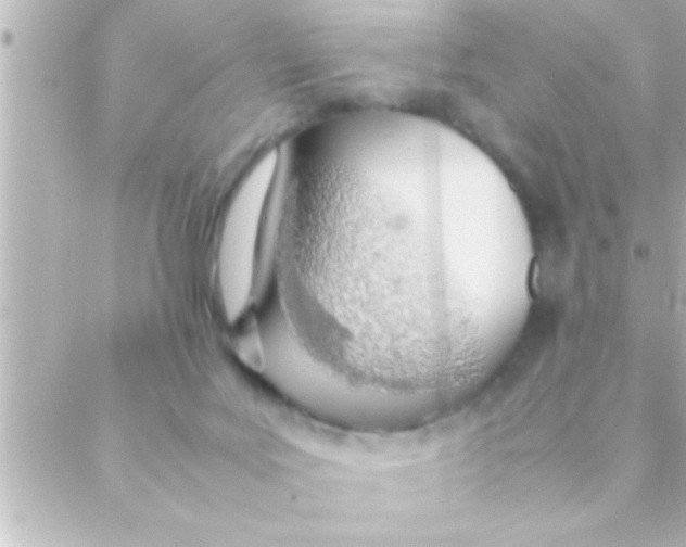 X0000088640027200706151954