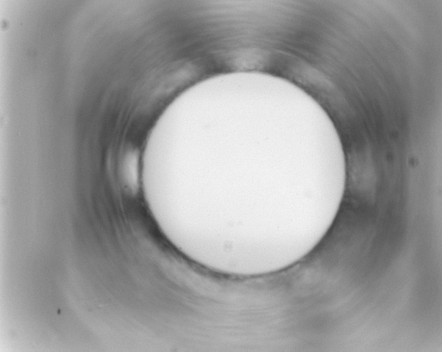 X0000088640028200706151953