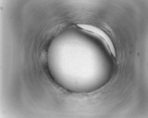 X0000088640029200706151953