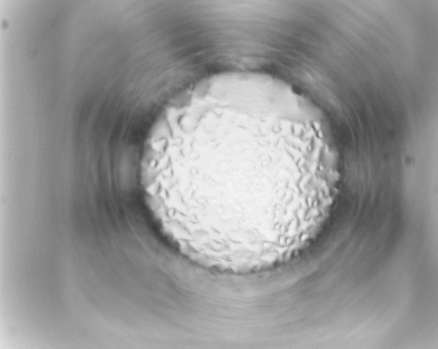 X0000088640030200706151953