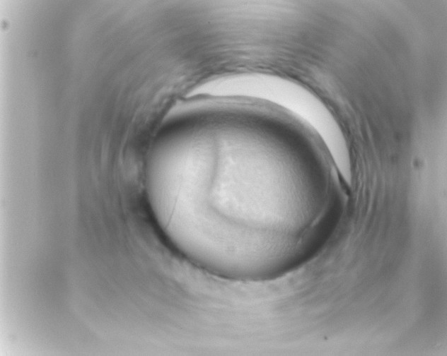 X0000088640031200706151953