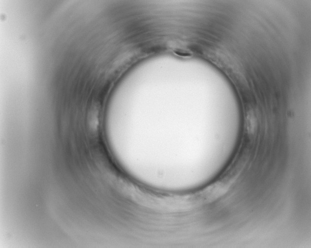 X0000088640032200706151953