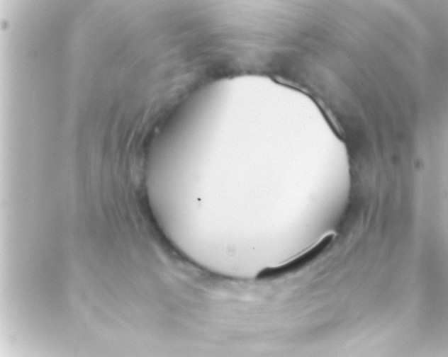 X0000088640033200706151953