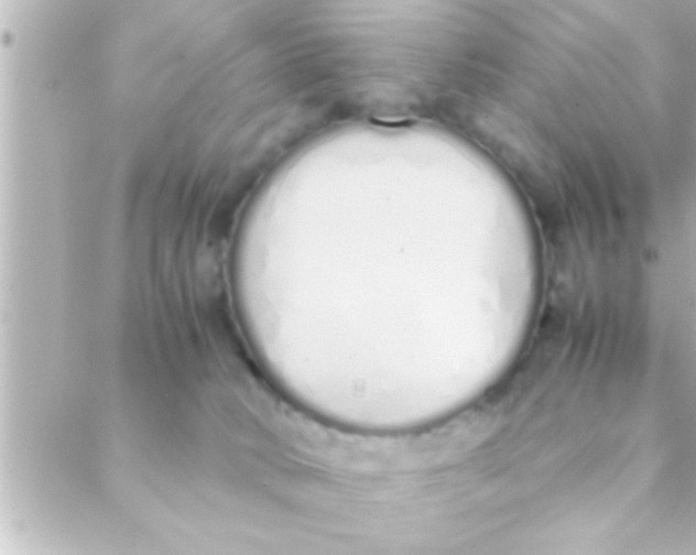 X0000088640034200706151953