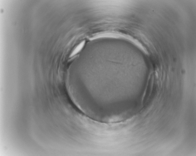 X0000088640035200706151953