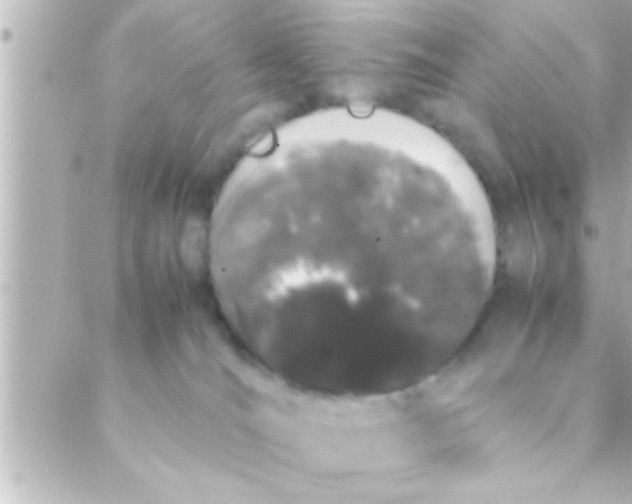 X0000088640036200706151953