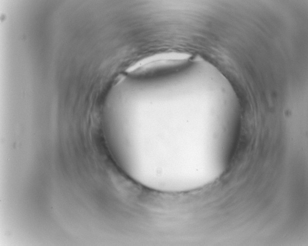 X0000088640037200706151953