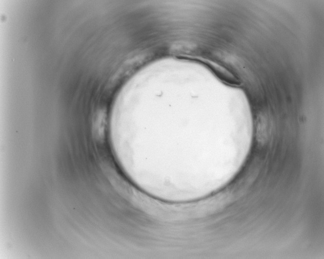 X0000088640038200706151953