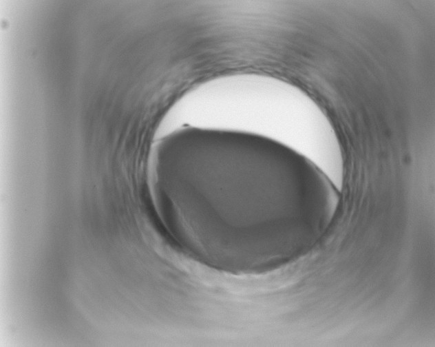 X0000088640039200706151953