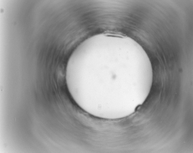 X0000088640040200706151953