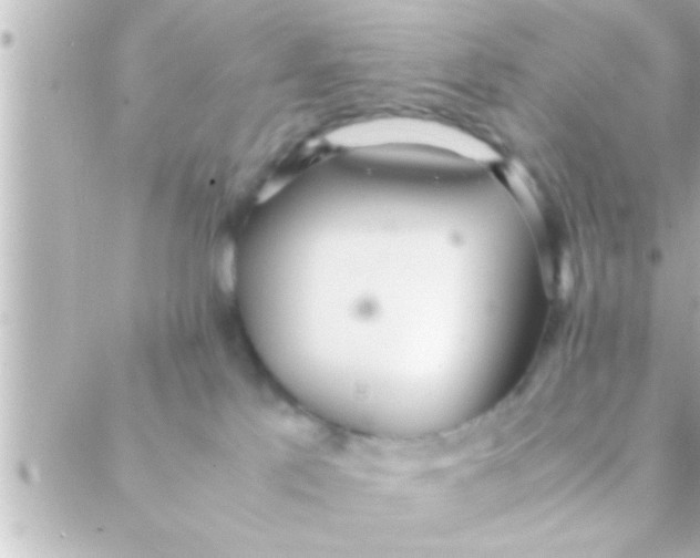 X0000088640041200706151953