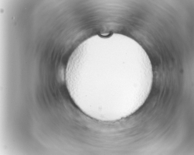 X0000088640042200706151953