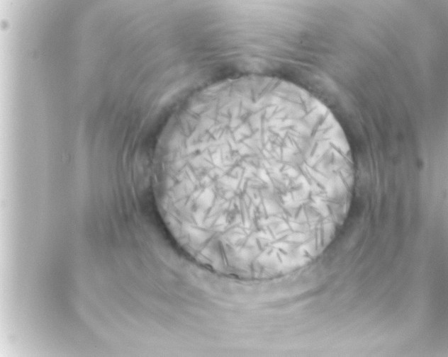 X0000088640043200706151953