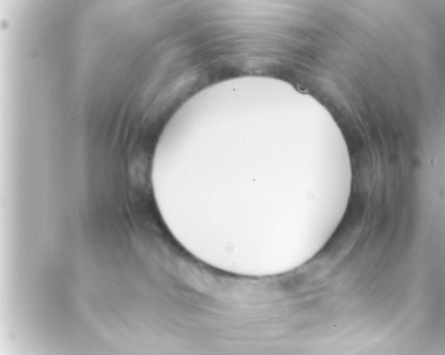 X0000088640044200706151953