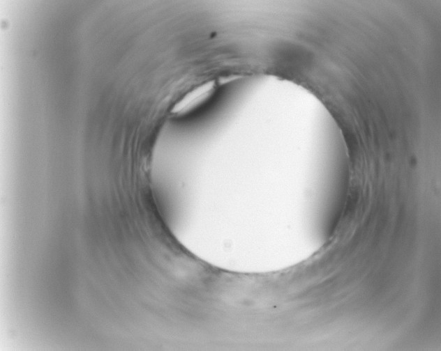 X0000088640045200706151953