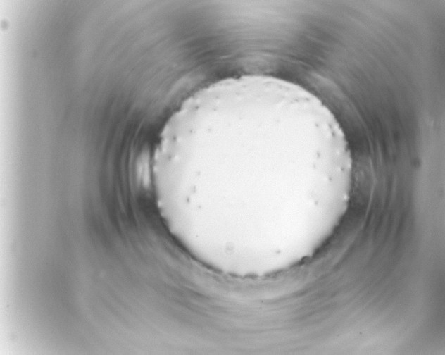 X0000088640046200706151953