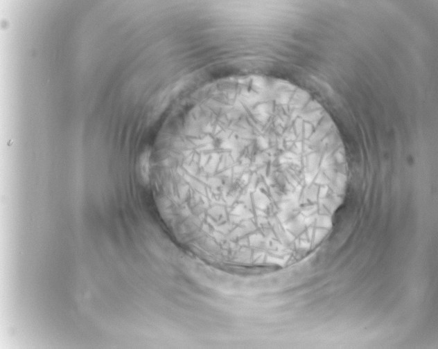 X0000088640047200706151953