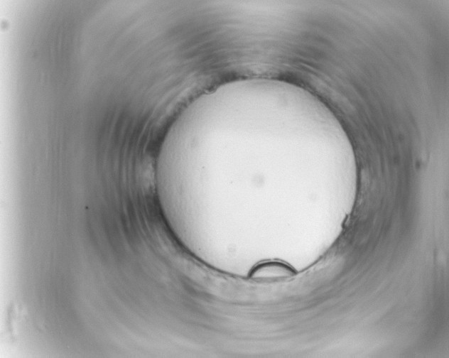 X0000088640048200706151953