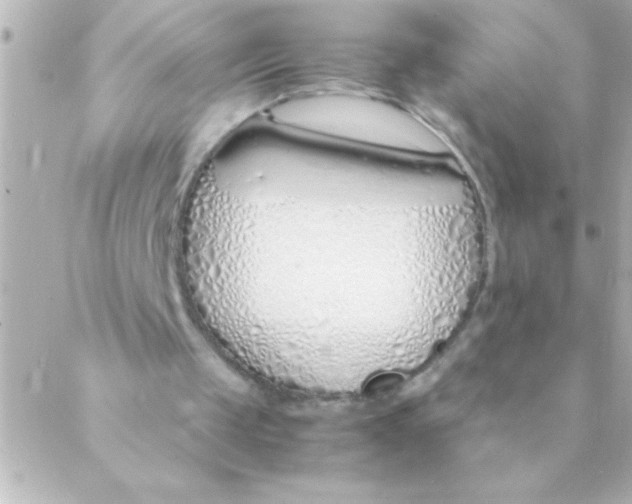 X0000088640049200706151952