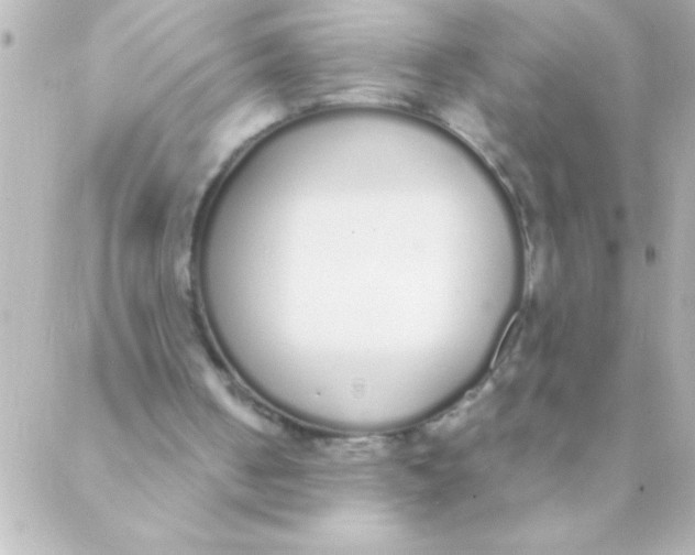 X0000088640050200706151952