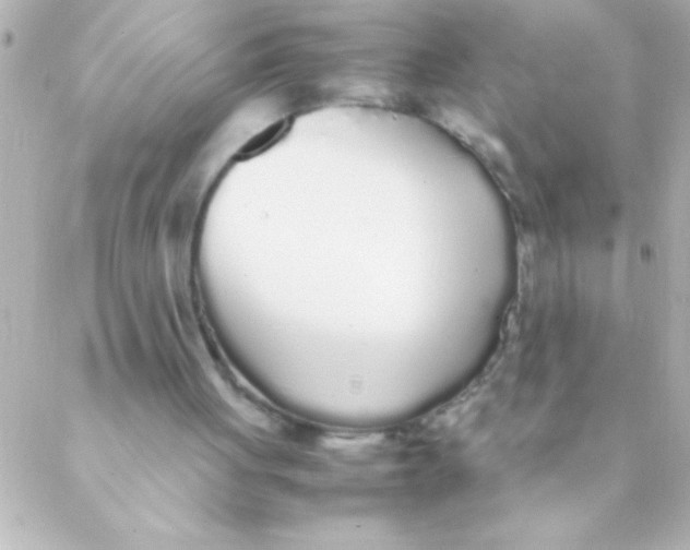 X0000088640051200706151952