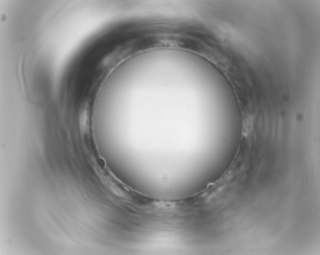 X0000088640052200706151952