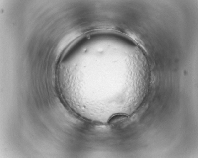 X0000088640053200706151952