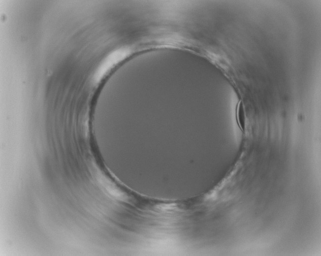 X0000088640054200706151952