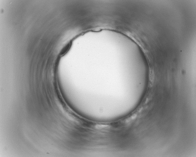 X0000088640055200706151952