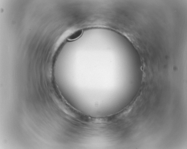 X0000088640056200706151952