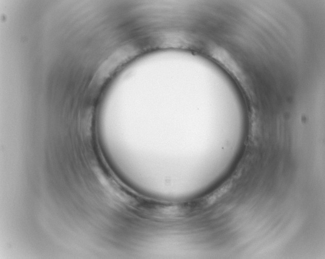 X0000088640058200706151953